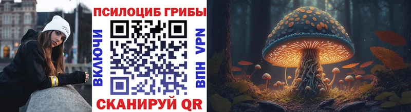 Псилоцибиновые грибы Psilocybe  закладки  Западная Двина 